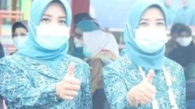 Bunda PAUD Prabumulih Didaulat Narsum di Kemdikbud RI