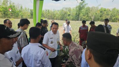 Lirik Nanas Prabumulih, Ini Dilakukan LPNM