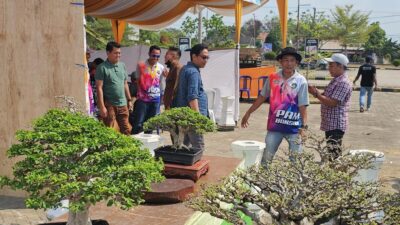 Awal Pendaftaran Pamnas Bonsai PPBI Prabumulih Halaman Citimall, Didominasi Peserta Luar Kota