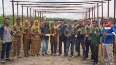 Ciptakan Ekonomi Sirkular, Begini Cara Perta Samtan Gas Bantu Agrowisata Nanas Prabumulih