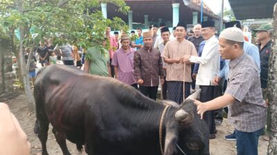 Pj Wako Prabumulih Ikuti Vidcon Penyerahan Serentak Hewan Kurban Bersama Pj Gubernur Sumsel, 355 Ekor Sapi Dikurbankan Hari Raya Idul Adha