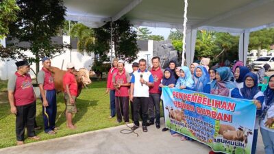 Fikri dan Keluarga Kurban Bersama Keluarga Besar PKPP, Sembelih 5 Ekor Sapi