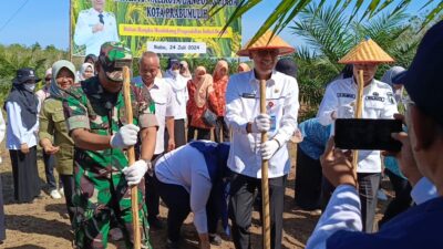 Perdana Tumpang Sisip Padi Gogo di Lahan Sawit Desa Karya Mulya, Pengendalian Inflasi Daerah dan Penyangga Beras Sumsel