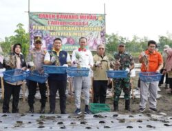 Pj Wako Prabumulih: Dukung Program Pemkot, Pak Kajari Bantu 50 Kg Bibit Bawang Merah Probolinggo, Jatim