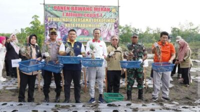 Pj Wako Prabumulih: Dukung Program Pemkot, Pak Kajari Bantu 50 Kg Bibit Bawang Merah Probolinggo, Jatim