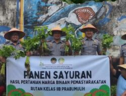 Panen Bayam Perdana Hasil Pertanian WBP, Wujudkan Progam Ketahanan Pangan Pemasyarakatan Rutan Prabumulih