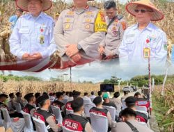 Polres Prabumulih Panen Jagung Serentak Secara Virtual, Jaga Ketahanan Pangan 