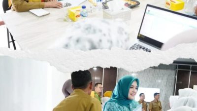 Hj Linda Arlan dan Aya Manan Franky, Pantau Pengisian dan Registrasi Data Posyandu