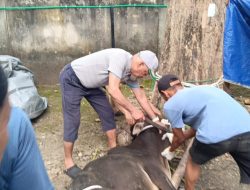 1.300 Kantong Daging, Hasil 20 Hewan Kurban RS Ar Bunda Prabumulih Didistribusikan Bagi Masyarakat Sekitar