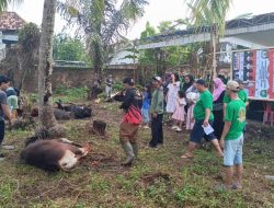 Masjid Al Muttaqin Kurban 8 Sapi dan 7 Kambing, 510 Kantong Daging Dibagikan