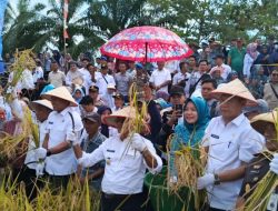 Awal Musim Panen Sawah Lebak di Payuputat, Wako Prabumulih: Ini Lumbung Pangan Kita