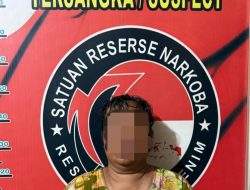 Kutang Abu-abu, Rahasia Gelap di Balik Tubuh Rentan Seorang IRT