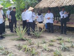 Staffsus Menimipas Apresiasi Rutan Prabumulih, Dukung Program Ketahanan Pangan Terpadu