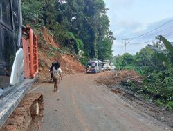 Akses Jalan ke Daerah Terdampak Semakin Lancar, Distribusi Bantuan di Sumatera Meningkat