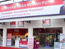 Koperasi Desa Merah Putih Perkuat Ekonomi Keluarga, Produk Desa Tembus Pasar Internasional