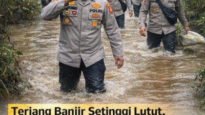 Polres Muara Enim Tinjau Lahan Jagung 5 Hektare di Padang Bindu