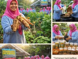 MUDA BERSAMA Pertamina Ubah Pekarangan Jadi Sumber Pangan dan Cuan, KWT Kemuning Hemat Ratusan Ribu per Minggu