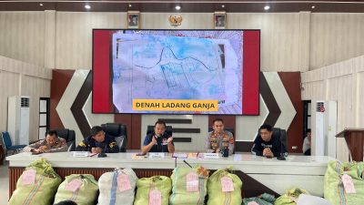 Polda Sumsel Bongkar Ladang Ganja 20 Hektar di Empat Lawang, 220 Kg Siap Edar Disita