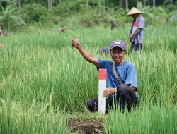 Simak Tips untuk Menjaga Tanah agar Tidak Diserobot Orang Lain