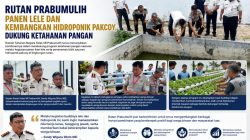 Rutan Kelas IIB Prabumulih Panen Lele dan Kembangkan Hidroponik Pakcoy, Dukung Ketahanan Pangan
