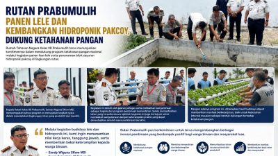 Rutan Kelas IIB Prabumulih Panen Lele dan Kembangkan Hidroponik Pakcoy, Dukung Ketahanan Pangan