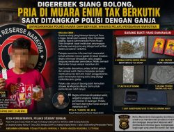 Digerebek Siang Bolong, Pria di Muara Enim Tak Berkutik Saat Ditangkap Polisi dengan Ganja