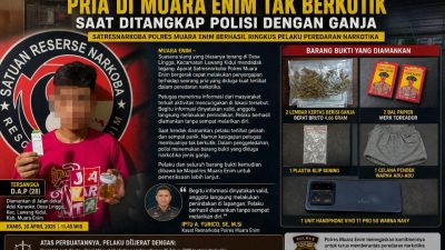 Digerebek Siang Bolong, Pria di Muara Enim Tak Berkutik Saat Ditangkap Polisi dengan Ganja